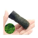 ( водоросли ) наматывать длина Willow Moss коряга Mini размер (8cm и меньше )( подводный лист )( нет пестициды )( 1 шт. )
