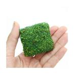 ( водоросли ) наматывать длина блокировка шерсть есть кий ba pearl-grass плитка ( водный лист )( нет пестициды )(1 шт )