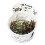 ( водоросли ) организация разведение 1-2-GROW!bsefa Land lasp.kda gun (1 cup )