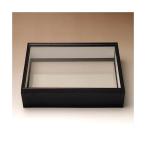 シーラ箱　（両面ガラスタイプ）　昆虫　標本用品　標本箱