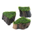 ( водоросли ) наматывать длина Willow Moss sp. narrow порез . АО коряга Mini размер ( подводный лист )( нет пестициды )( 1 шт. )