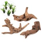 ( водоросли ) расположение материалы водоросли комплект Ver. прекрасное качество коряга .~...~ ( случайный микро санки um3 вид )(1 комплект )