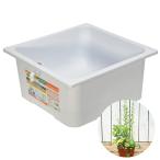 （ビオトープ）ベランダＤＥめだか飼育　めだか鉢　正方形　白　水生植物　寄せ植え　初心者　初めて　本州四国限定