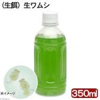 ( морская рыба ) сырой приманка сырой wamsi(siomiztsubowamsi)(350ml). приманка 