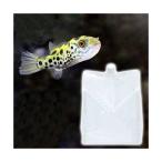 ( морская рыба ) пара . вода kun . вода 3L(5 пакет комплект ) авиапочта не возможно Okinawa не возможно 