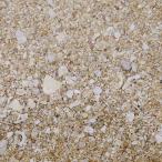 alago Night Sand обычный 10kg( примерно 8L) коралл песок leaf бак предназначенный низ пол 