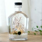 ( креветка ) тент тент * бутылка ( виски бутылка * белый ) Хонсю Сикоку ограничение 