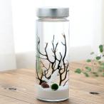 ( креветка ) тент тент * бутылка jumbo ( иен стойка большой * белый ) Хонсю Сикоку ограничение 