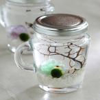 ( креветка ) тент тент случайный . камень ввод бутылка ( джем бутылка белый ) Хонсю Сикоку ограничение 