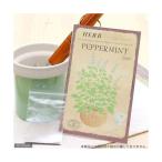  трава HERB ( мята перечная ) номер товара :803 огород 