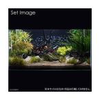 ( водоросли )90cm расположение для водоросли комплект . Takumi (KYOSHOW)( водный лист )(1 упаковка )( инструкция есть )