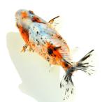 ( местного производства золотая рыбка ) один пункт предмет Edo металлы 12cm±... рыба место (1 шт )