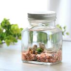 ( креветка ) тент тент бутылка ( flat угол розовый ) Хонсю Сикоку ограничение 