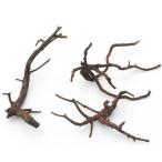  вид оставив решение кому-то другому nikomi завершено первоклассный коряга S размер ( примерно 10~20cm) 3шт.@ аквариум расположение материалы коряга 