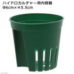  гидропоника для содержание контейнер диаметр 6× высота 5.5cm