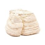  вид оставив решение кому-то другому . слой камень M размер ( примерно 13~18cm) 1 шт аквариум расположение материалы 