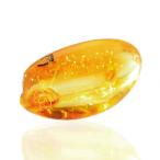  вид оставив решение кому-то другому bar to море производство насекомое ввод ko Haku M 1 шт . новый . янтарь окаменелость 