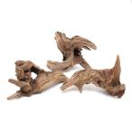  вид оставив решение кому-то другому nikomi завершено squishy дерево 3шт.@ аквариум расположение материалы коряга 