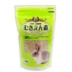 アラタ　うさぎ・小動物用　むきえん麦　７００ｇ　うさぎ　おやつ