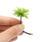 ( декоративное растение ) террариум мох oo kasagoke( нет пестициды )(5 АО )