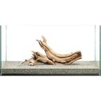  один пункт предмет призрак дерево большой аквариум для 880050