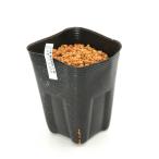 ( луговые и горные травы ) тонн наан shou( небо юг звезда )hi Gamma msigsa(....)SM размер 1 лампочка ввод 3 номер (1 pot )(.. состояние )