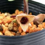 ( луговые и горные травы ) can AOI ( холод .)kotou can AOI ( озеро восток холод .)) 3 номер (1 pot ) классика садоводство 