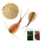  Kabuto креветка. яйцо Trio ps* long gikaudatus красный & Trio ps* long gikaudatus приманка имеется 