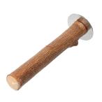  птица ... дерево местного производства . было использовано дерево pa-chi натуральный материалы se регулирование длиннохвостый попугай маленький размер длиннохвостый попугай ласты chi ширина фиксированный 