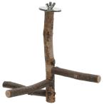  птица ... дерево ..... подвешивание ниже pa-chi Short маленький . местного производства se регулирование маленький размер длиннохвостый попугай ласты chi