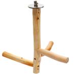  птица ... дерево кипарис. подвешивание ниже pa-chi Short маленький . местного производства se регулирование маленький размер длиннохвостый попугай ласты chi