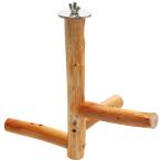  птица ... дерево кипарис. подвешивание ниже pa-chi Short futoshi . местного производства se регулирование маленький размер длиннохвостый попугай ласты chi