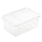  bleed box прозрачный S 18.5×12.1×7.8cm