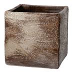  водяная лилия горшок местного производства ручная работа водяная лилия горшок Mashiko ..(SAI) угол . глаз белый диаметр 18cm биотоп 