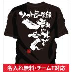 チーム割引あり 部活Tシャツ ソフトボールやチームTシャツ ソフトボールにオススメ ソフトボールTシャツ 翔けあがれ