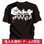 チーム割引あり 部活Tシャツ ソフトボールやチームTシャツ ソフトボールにオススメ ソフトボールTシャツ 挑戦