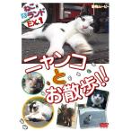 ねこ(猫)ざランド エクストラ(EX) vol.1 ニャンコとお散歩 DVD