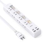 Addtam 延長コード 2m 電源タップ USB充電付電源タップ 8個AC口 2個USB-Aポート 2Type-Cポート 個別スイ