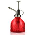 LanQii опрыскиватель лейка стекло растения садоводство под старину интерьер уличный модный . лист .