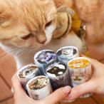 Alideco 6個 マスキングテープ かわいい 動物の猫 透明な耐水性 インク50mm幅×2m巻 PET 粘着 テープ