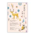 年賀状じまい(年内お知らせ)私製10枚入りパピレイSDJ-509