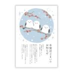 年賀状じまい(年内お知らせ)私製10枚入りパピレイSDJ-516