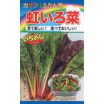 to- ho k красочный .... радуга ...