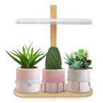 Luejnbogty LED полный spec ktoru рост свет 10W высота настройка возможный настольный растения свет закрытый растения для 2H/4H/8H таймер 