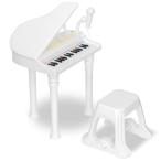 RiZKiZ グランドピアノ  ミニピアノ 
