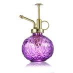 LanQii опрыскиватель лейка 240 мм литров стекло растения садоводство под старину интерьер уличный 