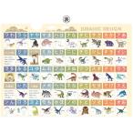  учеба A4 прозрачный файл ( динозавр обычный ..* katakana *ABC* алфавит )