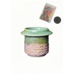  много мясо горшок маленький размер много мясо горшок ... модный японский стиль керамика цветочный горшок глазурь посадочная машина кактус горшок суккулентное растение горшок .