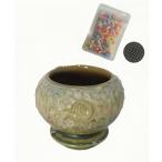  много мясо горшок маленький размер много мясо горшок ... модный японский стиль керамика цветочный горшок глазурь посадочная машина кактус горшок суккулентное растение горшок .