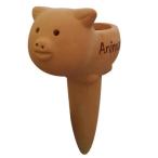 SZB полив автоматика автоматика полив контейнер полив данный номер вода .. растение в горшке растения автоматика поилка садоводство водоснабжение tool ..